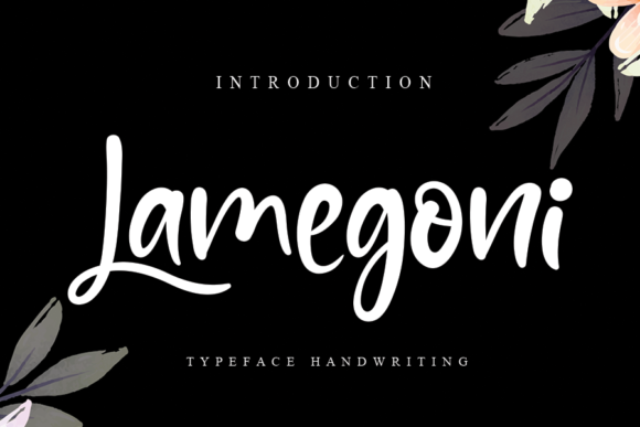 Lamegoni Font: A Script Amp Typeface for Editorial Elegance