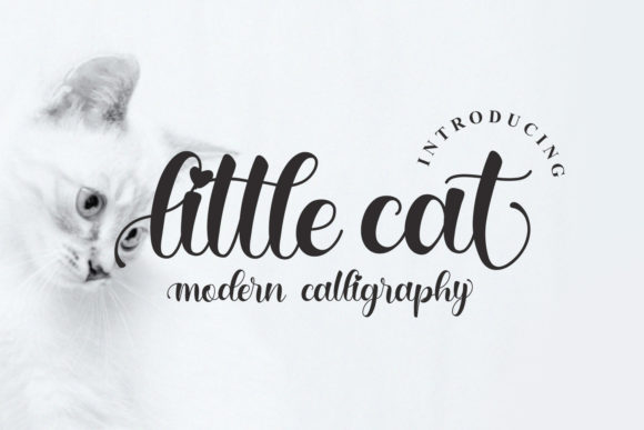 Little Cat: A Handwritten Typeface for Modern Web Design