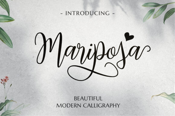 Mariposa Font: A Beautiful Choice for Business Branding