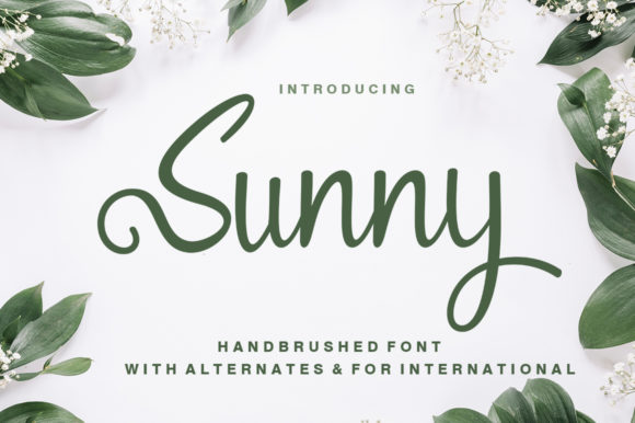 Sunny Font: A Handwritten Typeface That Elevates Digital Design
