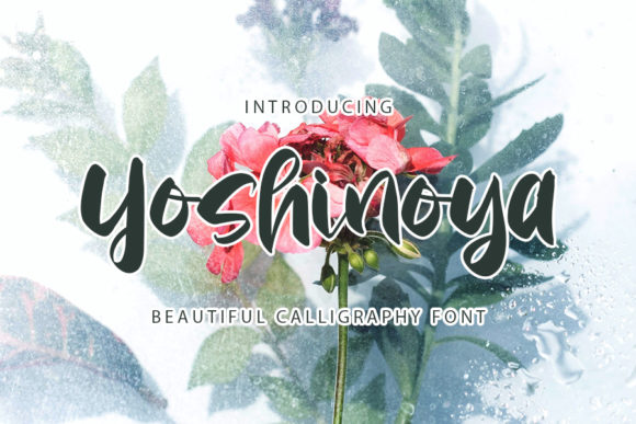 Yoshinoya Font: A Timeless Script for Editorial Elegance
